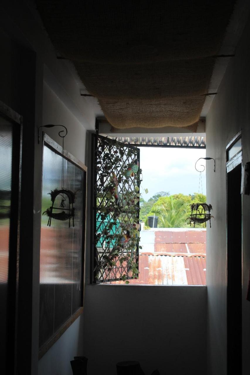 Hotel Gavas Amazonas Летисия Экстерьер фото