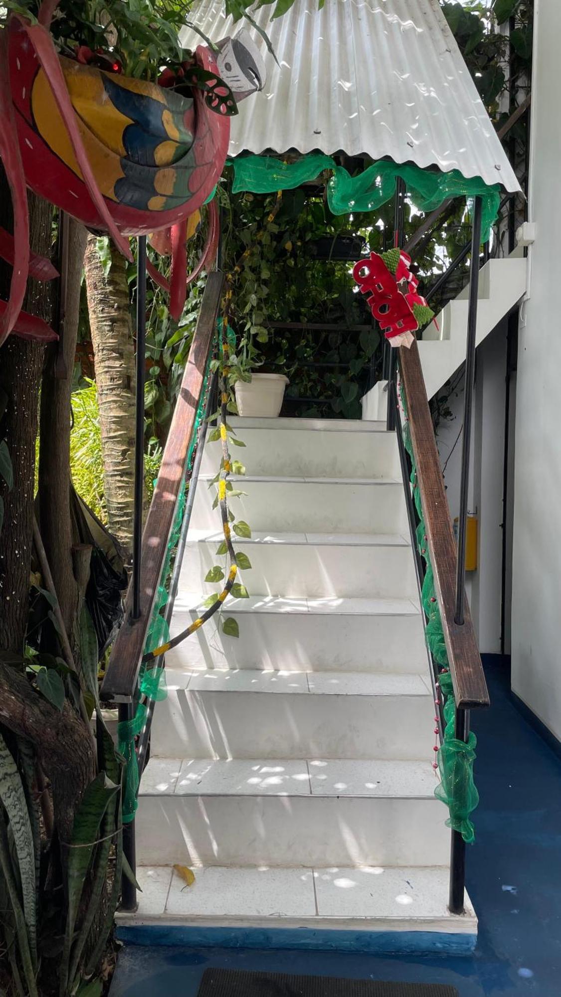 Hotel Gavas Amazonas Летисия Экстерьер фото